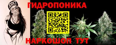 соль ск Свободный