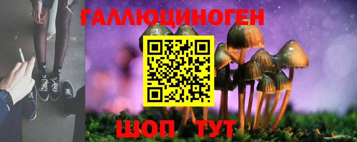 Новодвинск  Галлюциногенные грибы Cubensis  Вход с VPN 