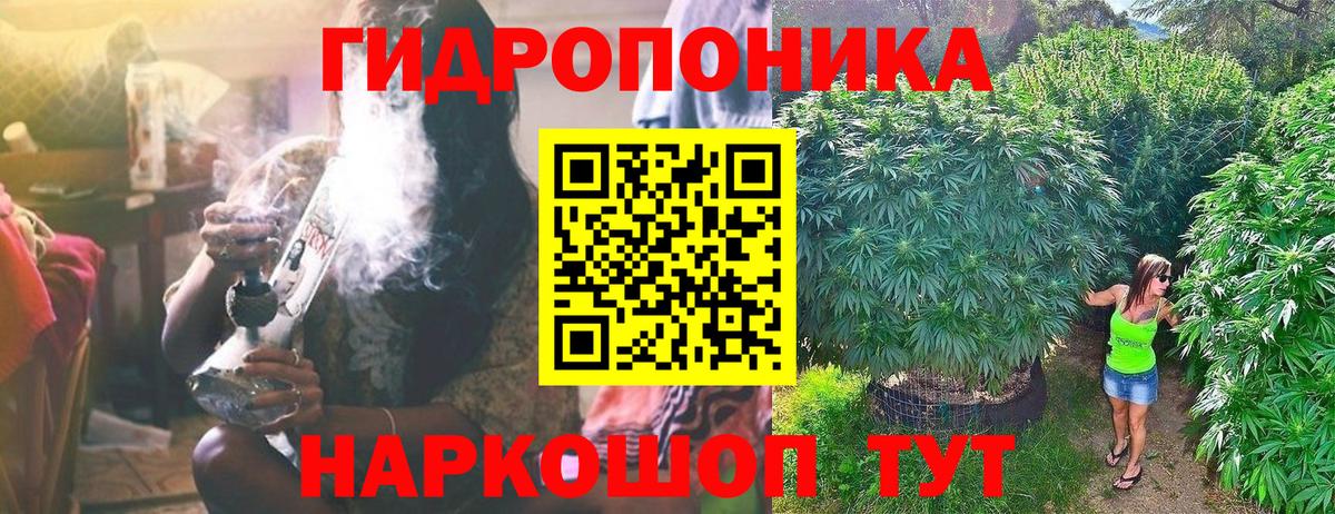 Бошки марихуана планчик Новодвинск